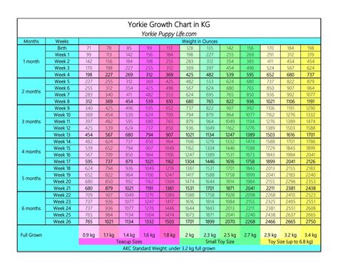 yorkie growing chart